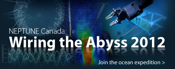 Click to visit our cruise page.