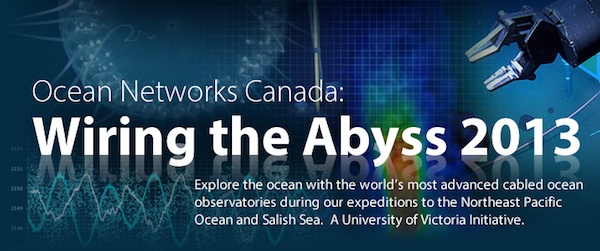 Wiring the Abyss 2013